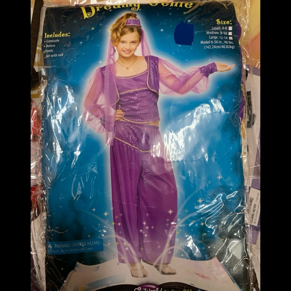 Dreamy Genie Costume 12-14